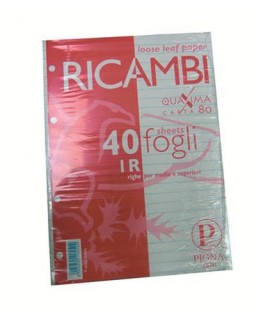 RICAMBIO PIGNA FORATO QUAXIMA A5 40FF 1R