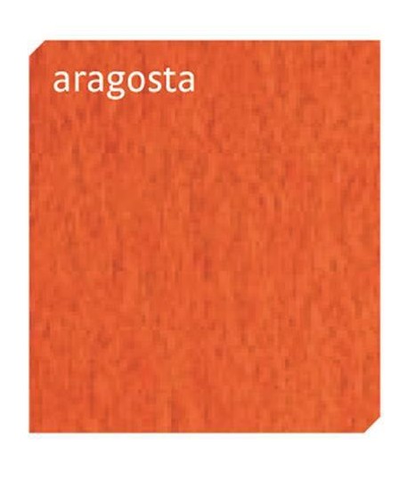 CART.FACOLORE 200G 70*100 ARAGOSTA 10FF