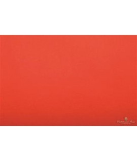 CARTA VELINA 50*76 GR20 ARANCIO 82 24FF