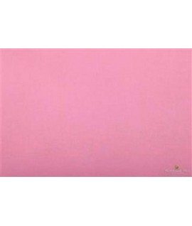 CARTA VELINA 50*76 GR20 ROSA 10 24FF