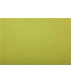 CARTA VELINA 50*76 GR20 VERDE CH 31 24FF