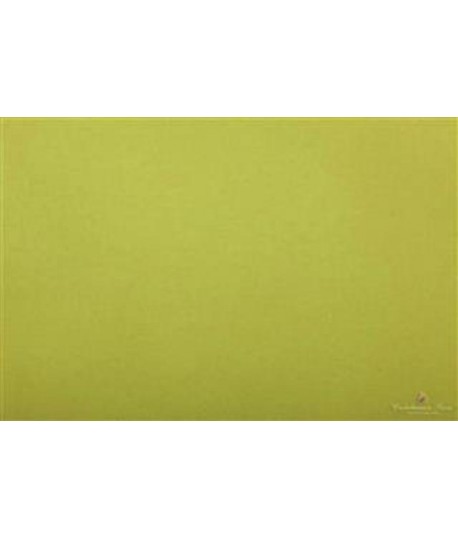 CARTA VELINA 50*76 GR20 VERDE CH 31 24FF