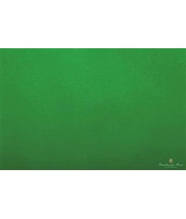 CARTA VELINA 50*76 GR20 VERDE SC 38 24FF