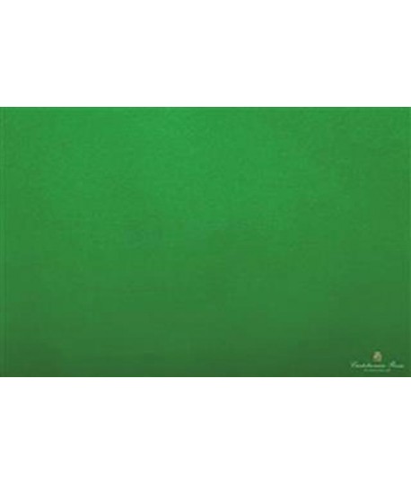 CARTA VELINA 50*76 GR20 VERDE SC 38 24FF