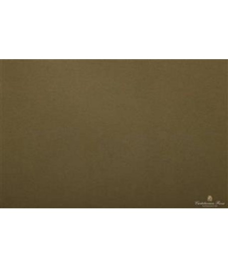 CARTA VELINA 50*76 GR20 VERDE SC 42 24FF