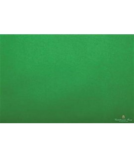 CARTA VELINA 50*76 GR20 VERDE 34 24FF