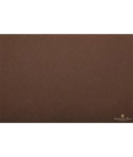 CARTA VELINA 50*76 GR20 MARRONE 47 24FF