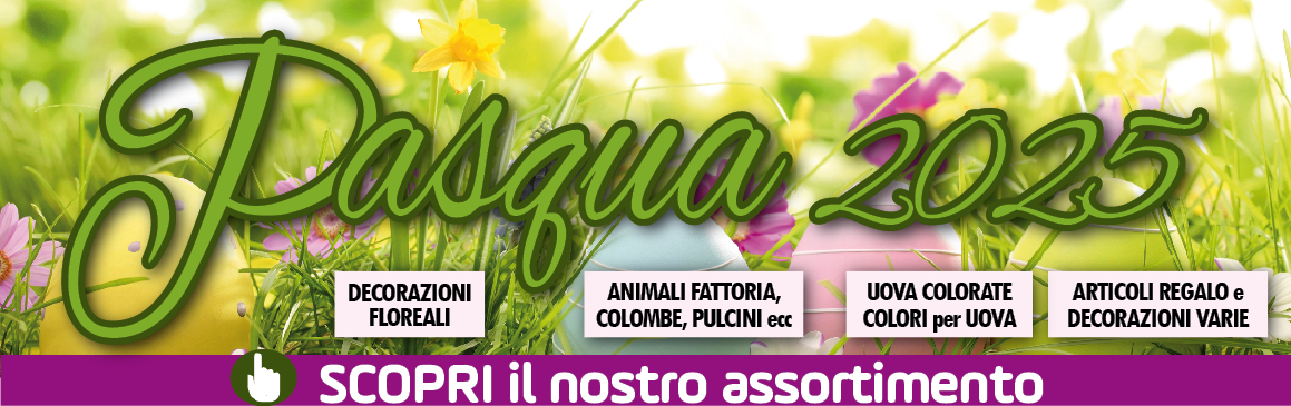 ASSORTIMENTO PASQUA E PRIMAVERA 2025